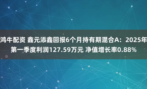 鸿牛配资 鑫元添鑫回报6个月持有期混合A：2025年第一季度利润127.59万元 净值增长率0.88%