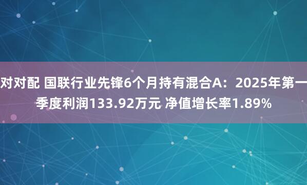 对对配 国联行业先锋6个月持有混合A：2025年第一季度利润133.92万元 净值增长率1.89%