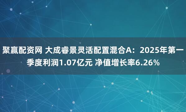 聚赢配资网 大成睿景灵活配置混合A：2025年第一季度利润1.07亿元 净值增长率6.26%