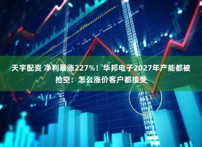 天宇配资 净利暴涨227%！华邦电子2027年产能都被抢空：怎么涨价客户都接受